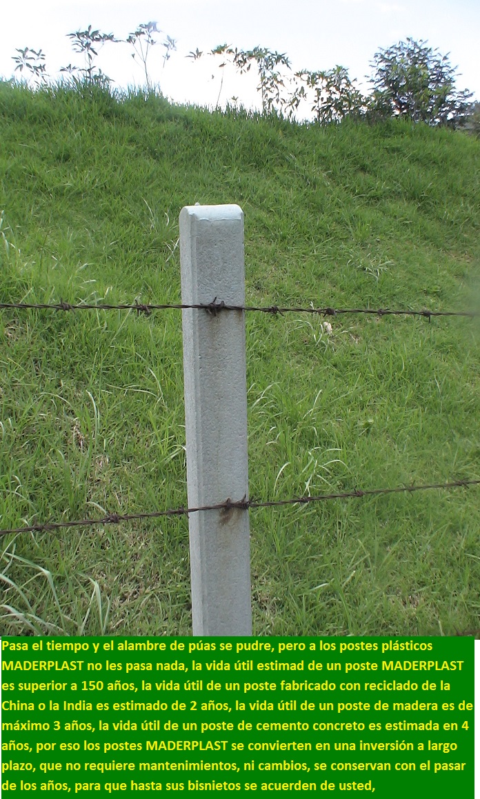 postes plásticos maderplast buena calidad postes púas duran mucho tiempo postes no pudren oxidan astillan postes no se parten rajan quiebran postes fuertes resistentes aislantes aisladores 04 postes plásticos maderplast buena calidad postes púas duran mucho tiempo postes no pudren oxidan astillan postes no se parten rajan quiebran postes fuertes resistentes aislantes aisladores 04 postes plásticos maderplast buena calidad postes púas duran mucho tiempo postes no pudren oxidan astillan postes no se parten rajan quiebran postes fuertes resistentes aislantes aisladores 04 postes plásticos maderplast buena calidad postes púas duran mucho tiempo postes no pudren oxidan astillan postes no se parten rajan quiebran postes fuertes resistentes aislantes aisladores 04